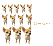 538894242