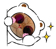 538895904