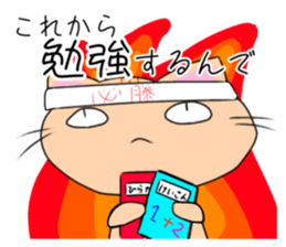 539001907