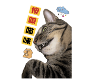 539012849