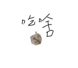 539094761