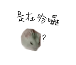 539094768