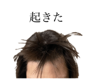 539131315