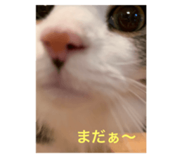 539134217