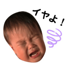 539162056
