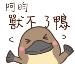 539202406