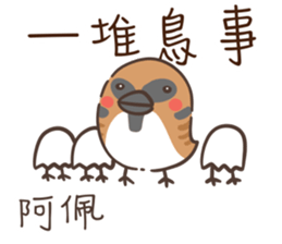 539202810