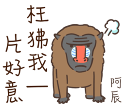 539203384