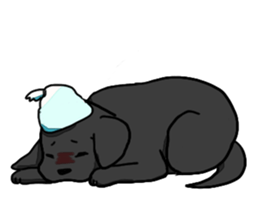 5392223