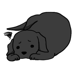5392225