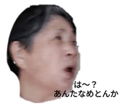 539315992