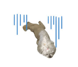 539354960