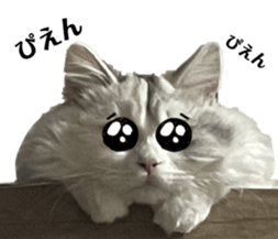 539379371