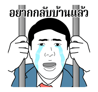 ลายที่ 19