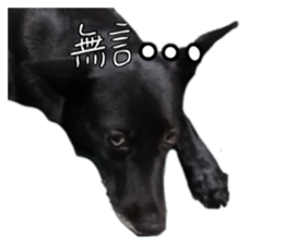 539423507