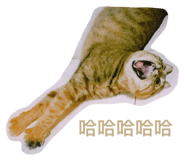539424237
