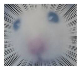 539428909