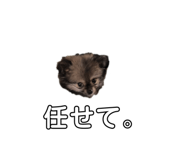 539433516