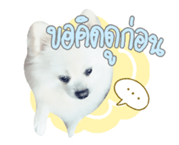 53945375
