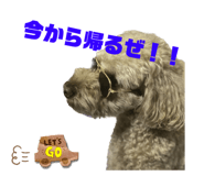 539456408