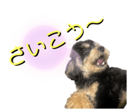 539456421