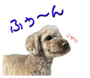 539456422