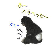 539456426