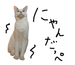 539489917