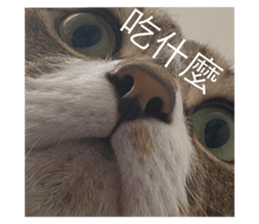 539495708