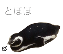 539516410