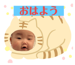 539516990