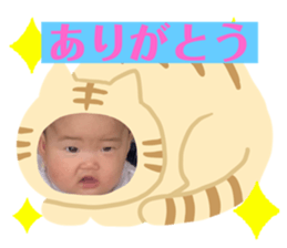 539516993
