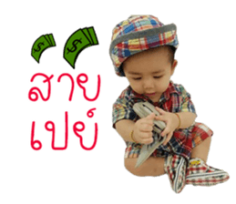 53953950