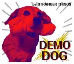 539562300