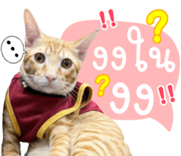 539659856