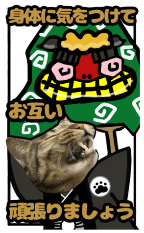 539768072
