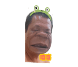 539778992