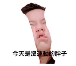 539787875