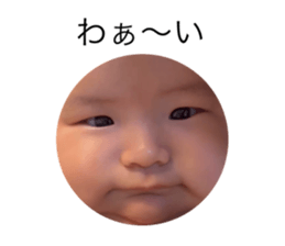 539795175
