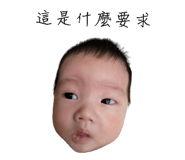 539805336