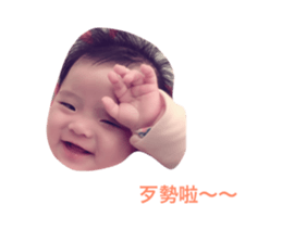 53983213