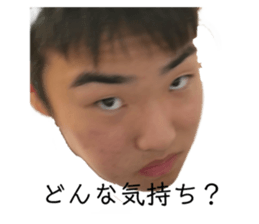 539866660