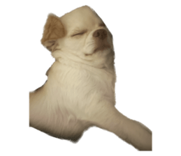 539909503