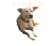 539910251