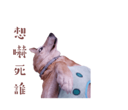 539910253
