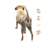 539910254