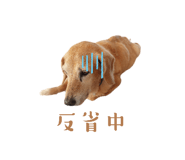 539910255