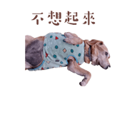 539910258