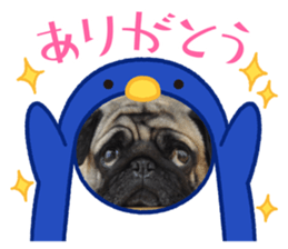 539924516