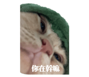 539937207